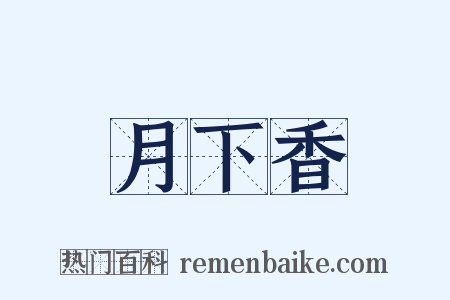 月下香是什么意思的图片